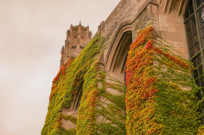 Adana Gündoğdu Lisesi 2. Sınıf için İngilizce Öğrenme Yöntemleri